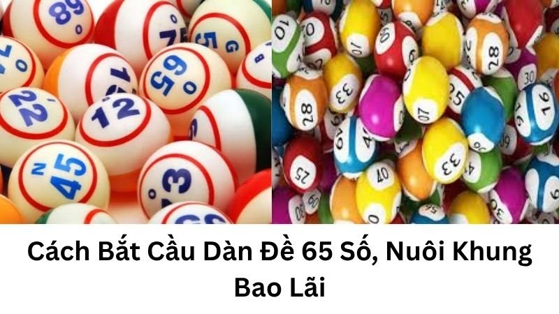 Cách Bắt Cầu Dàn Đề 65 Số, Nuôi Khung Bao Lãi