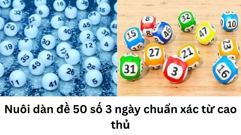 Nuôi dàn đề 50 số 3 ngày chuẩn xác từ cao thủ