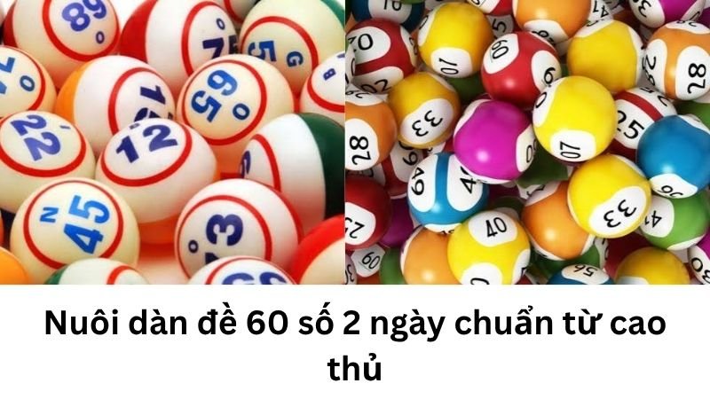 Nuôi dàn đề 60 số 2 ngày chuẩn từ cao thủ